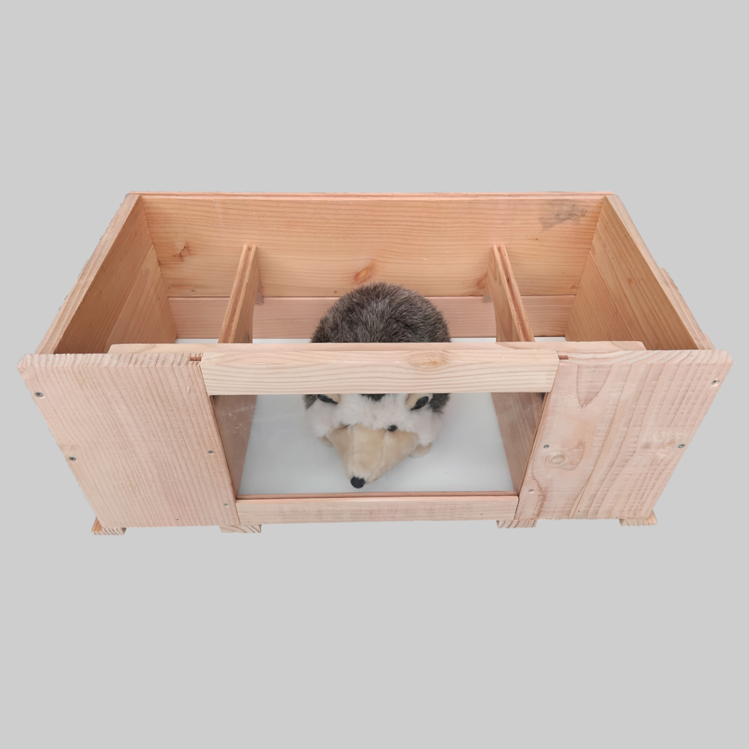 HedgyCafé Deluxe - Afbeelding 3